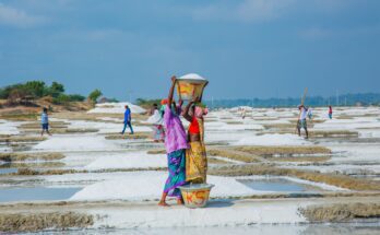 पुराने भाईंदर गांव की बीती हुई यादे| Part XXXI-भाईंदर विकास के प्रमुख चरण एवं पुरानी ऐतिहासिक घटनाये. 7 pexels nila racig
