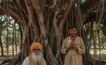 Lucid Realism A serene Indian sadhu with a wise and gentle fac 2